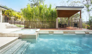 Platypus Pools - Pool Renovations 1